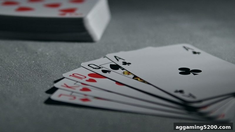电子游戏试玩导航：桌游竞赛形式与组织方式深度剖析