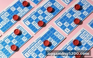 电子游戏试玩导航：二十一点与龙虎玩法全攻略——从基础策略到风险控制