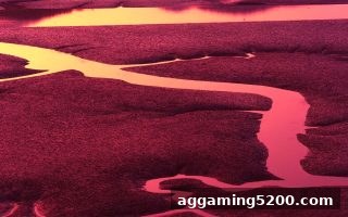 组三与组六玩法深度解析——电子游戏试玩导航带你洞悉数字组合策略