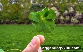 体育竞猜的双面影响：借助电子游戏试玩导航理性探索娱乐新世界