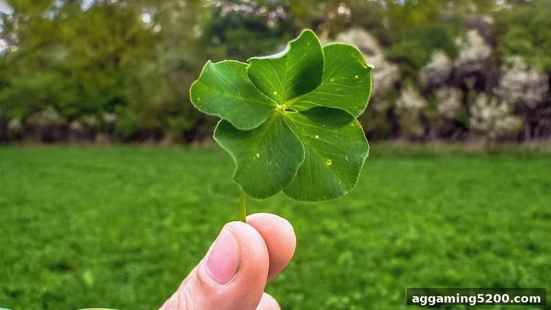体育竞猜的双面影响：借助电子游戏试玩导航理性探索娱乐新世界