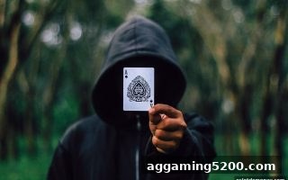 炸金花决策指南：电子游戏试玩导航揭秘胜率与策略的深层关联