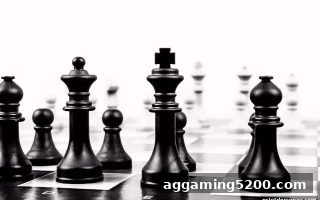 德州扑克长线策略实战手册：电子游戏试玩导航解锁稳定盈利密码