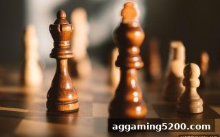 电子游戏试玩导航揭秘：牛牛棋牌背后的心理学智慧与决策艺术
