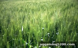 电子游戏试玩导航指南：存款赠礼后账号遭冻结？从原因到申诉的完整应对策略