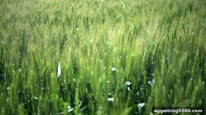 电子游戏试玩导航指南：存款赠礼后账号遭冻结？从原因到申诉的完整应对策略