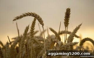 电子游戏试玩导航：免佣百家乐VIP专享奖励全攻略