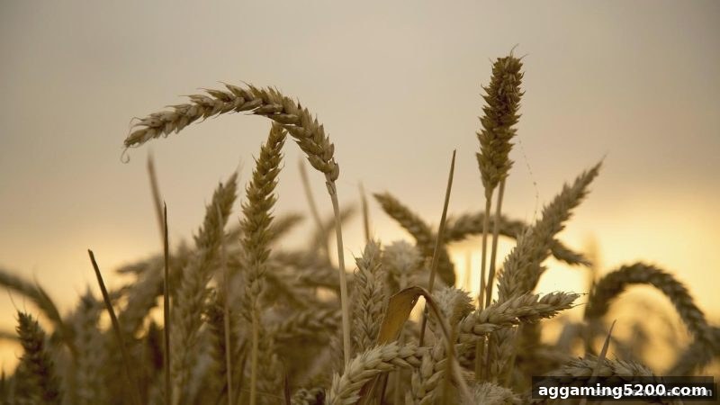 电子游戏试玩导航：免佣百家乐VIP专享奖励全攻略