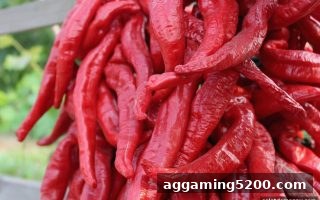 斗地主老用户月度返利计划全攻略：电子游戏试玩导航带你解锁忠实玩家福利
