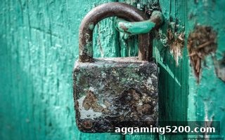 电子游戏试玩导航：博狗平台监管体系与验证方法全解析