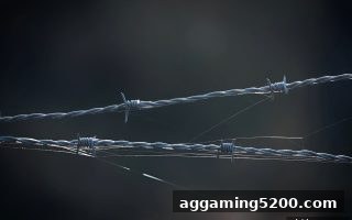 电子游戏试玩导航揭秘：马耳他牌照如何为SBO电子游戏安全护航