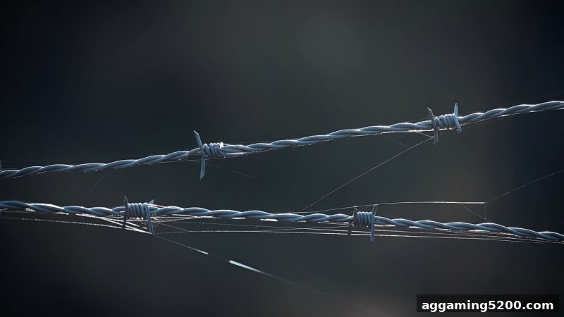电子游戏试玩导航揭秘：马耳他牌照如何为SBO电子游戏安全护航