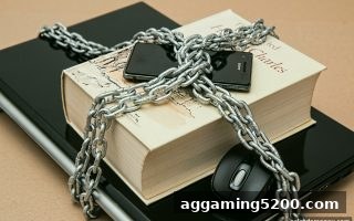 电子游戏试玩导航深度解读：OG真人平台灰色地带的真实面貌与潜在陷阱