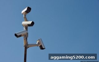 电子游戏试玩导航：游戏维权、拉新奖励与合规要点一站式解读