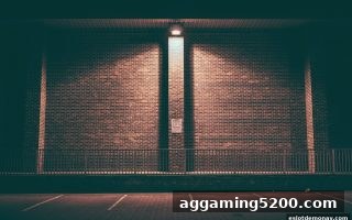电子游戏中转轴构建全解析：电子游戏试玩导航带你复盘皇冠体育案例